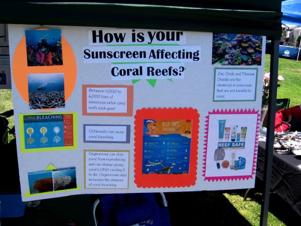 I learned from some Girl Scouts that chemicals in certain sunscreens harm coral reefs. Safe active ingredients are Zinc Oxide and Titanium Dioxide.