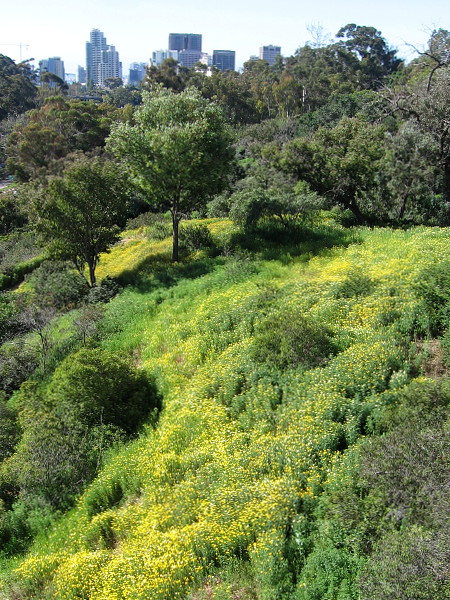Starting west across Cabrillo Bridge, looking south toward downtown San Diego.