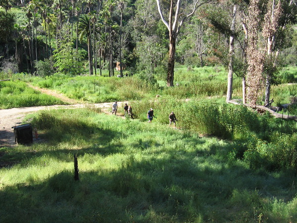 Near the east end of Cabrillo Bridge, looking down at the Rube Powell Archery Range.