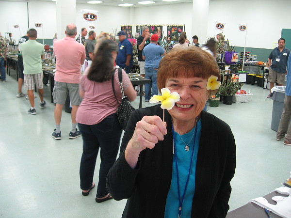 A small yellow flower greets me inside the Casa del Prado. It's the annual spring sale by the Southern California Plumeria Society.