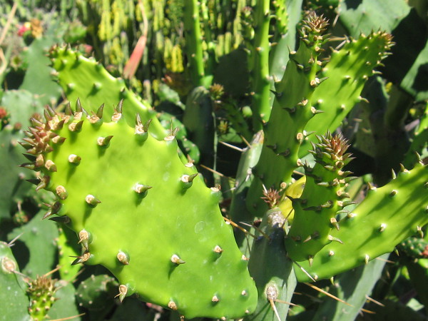 More surprising beauty.