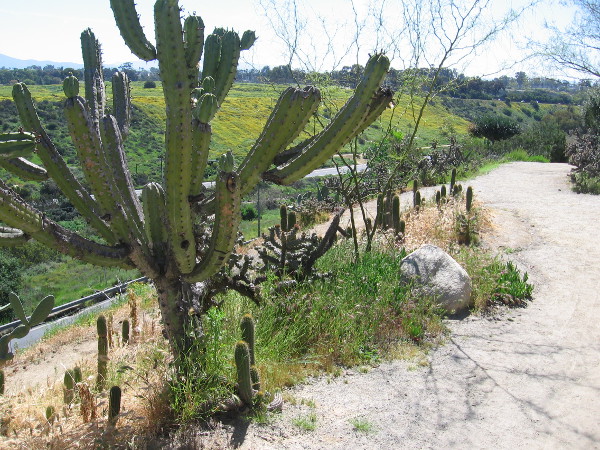 About to head down a winding path into Florida Canyon.
