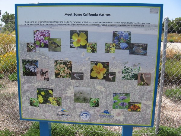 One sign displays plants that provide food and shelter for the birds and insects of Mission Bay.