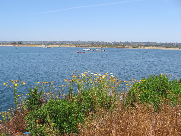 Looking north across the water at boats, kayaks and Fiesta Island.