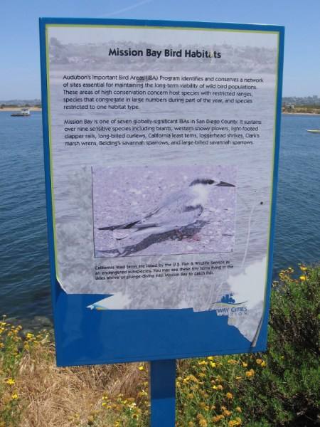 Audubon's Important Bird Areas (IBA) Program identifies and conserves a network of sites essential for wild bird populations. Mission Bay is one of seven IBAs in San Diego County.