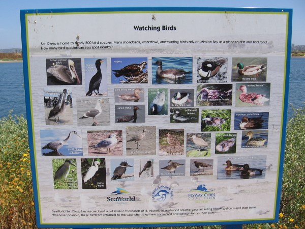 Sign identifies birds that might be seen here. San Diego is home to nearly 500 bird species.