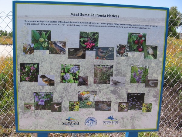 Another sign with more California natives, including plants and birds.