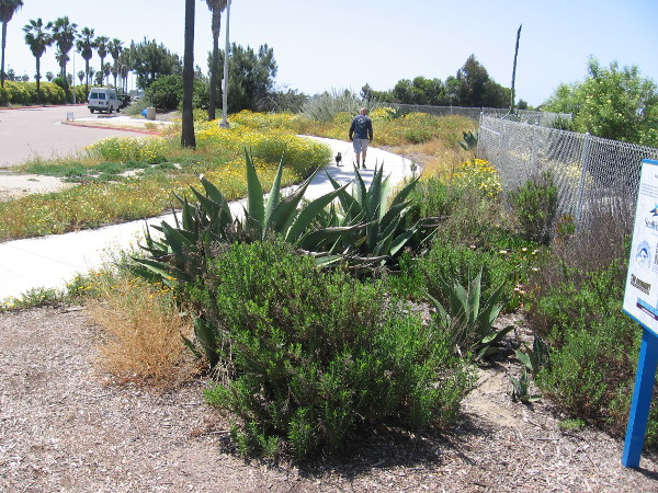 Someone walks on a path that winds near the entrance to this little visited park-like space.