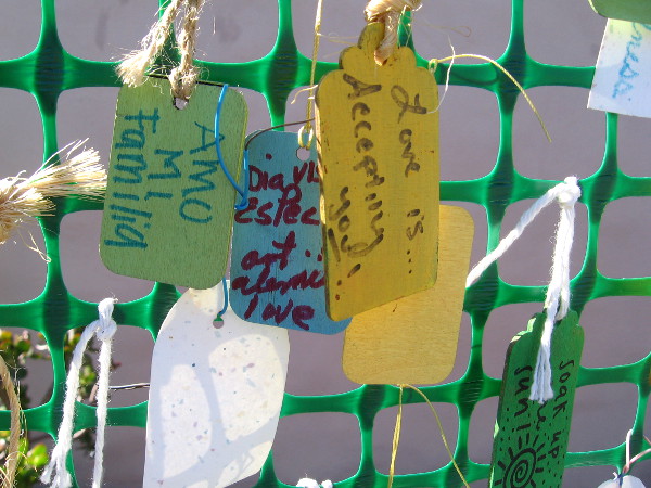 Amo mi familia. Love is accepting you.