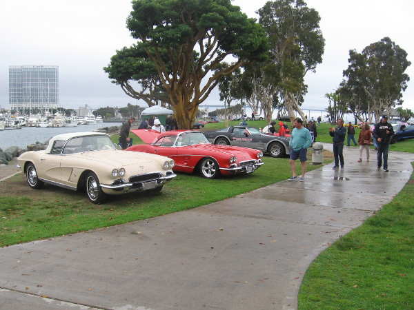 One last look at some remaining Corvettes.