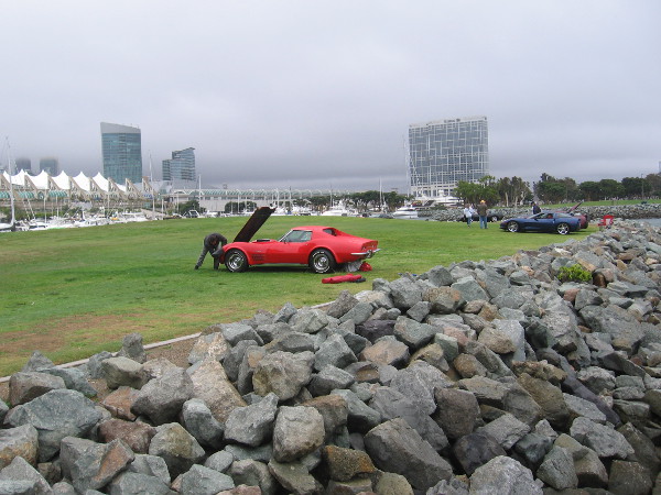 A few cars remain parked on the grass of Embarcadero Marina Park North.