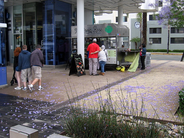 The showers have torn purple jacaranda blooms from nearby trees.