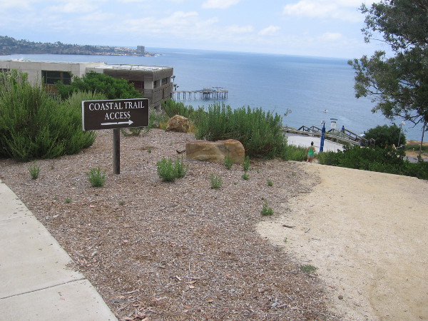 Scripps Coastal Meander Trailhead at La Jolla Shores Drive, just north of Biological Grade. A sign indicates Coastal Trail Access.