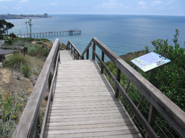 Starting along a raised wooden walkway with amazing views of the Pacific Ocean.