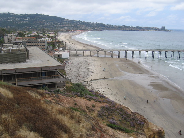 Beyond Scripps Pier and Scripps Beach is La Jolla Shores and the Village of La Jolla.