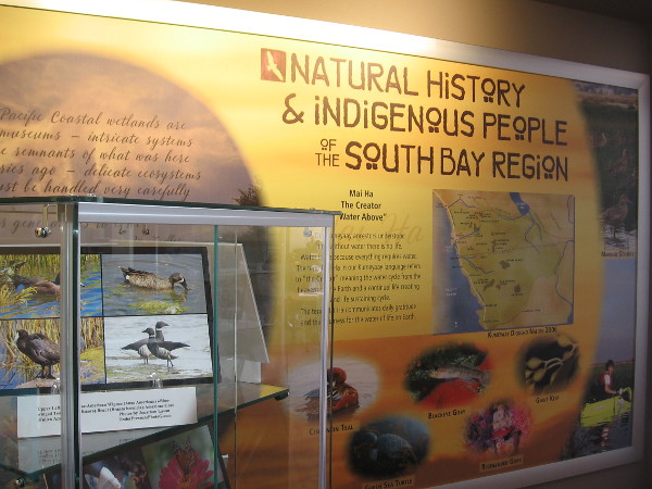 In addition to displays about birds, fish, wildlife and plants, the exhibit explores the history of indigenous people in the South Bay region.