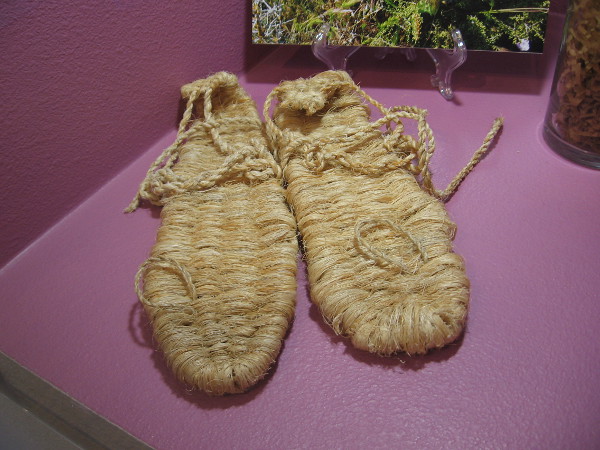 The Kumeyaay made sandals, nets and rope from the fibers of Coastal Agave and Yuccas.