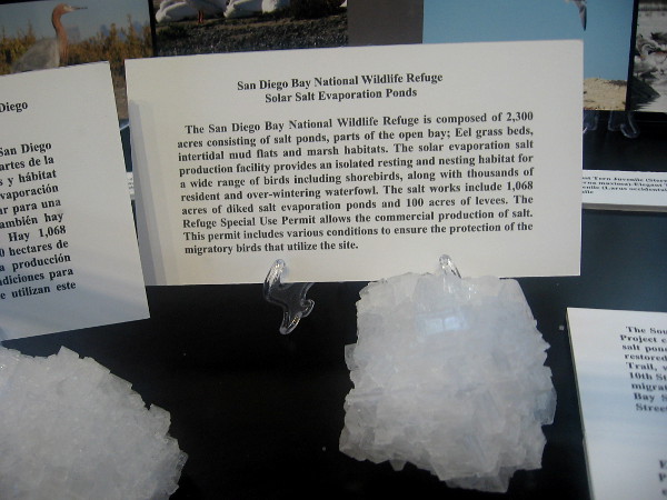 The San Diego Bay National Wildlife Refuge includes 1068 acres of diked salt evaporation ponds. Migratory birds are carefully protected.