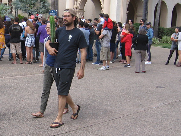 Perhaps a cactus is also in your future.