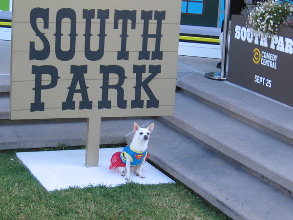 Krypto the Superdog has entered South Park during 2019 Comic-Con.