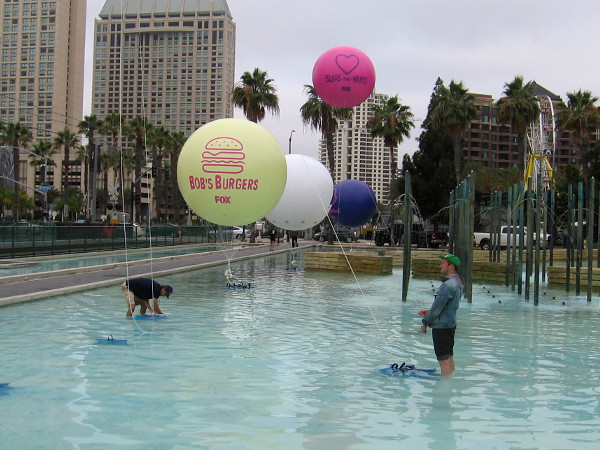 Early Thursday morning, guys are wading in the Childrens Park fountain putting up some cool Animation Domination balloons.