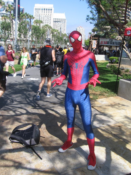 Spider-Man cosplay.