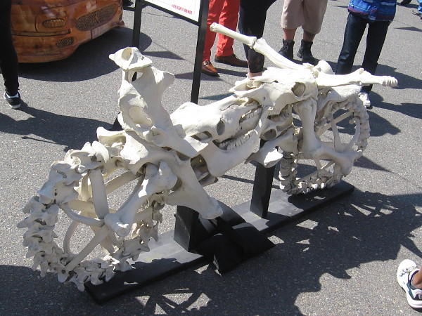 Bad to the Bone is a one-of-a-kind motorcycle made of animal bones from dead cows and road kill.