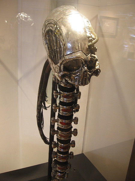 Borg Queen Skull. After her defeat, the Queen's cybernetic skull and other remaining components were retained by Starfleet for further study.