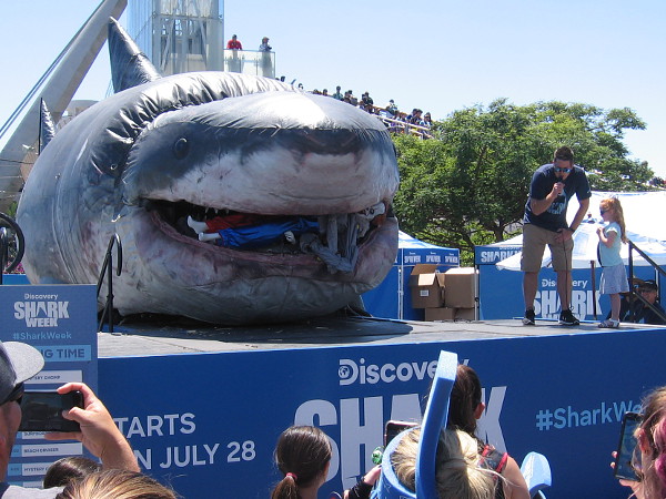 A little girl who hates clowns couldn't wait to see Pennywise munched to pieces by Sharkzilla.