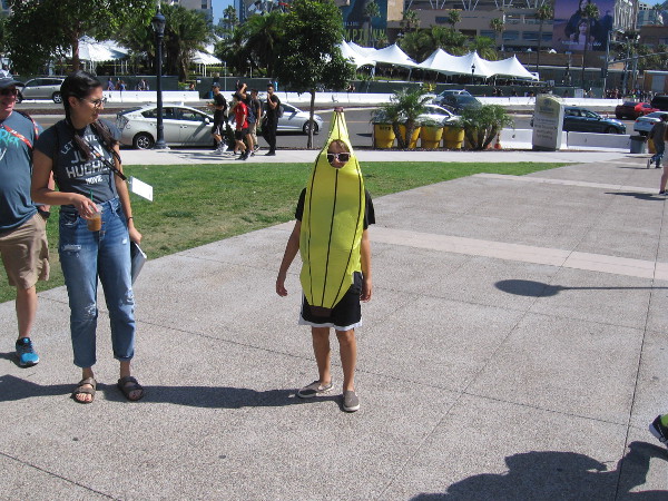 A banana posed for a photo.