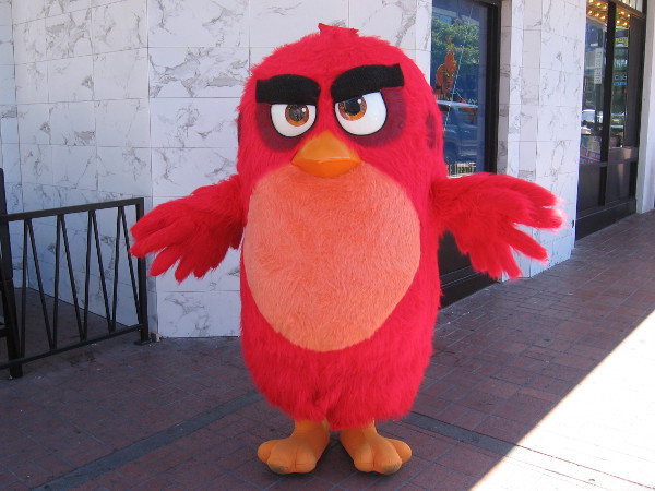 And this Angry Bird!