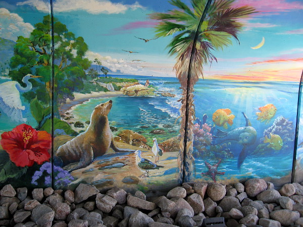 La Jolla Cove and Pacific Ocean aquatic life.