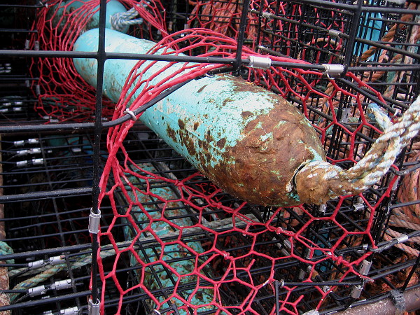 Some colorful lobster traps were stacked at the edge of the parking lot beside Tuna Harbor.