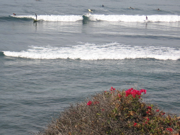 My small camera catches some distant surfing action.