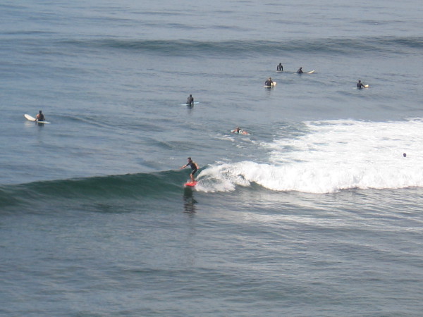 Many surfers were out on a sunny September day, enjoying good conditions.