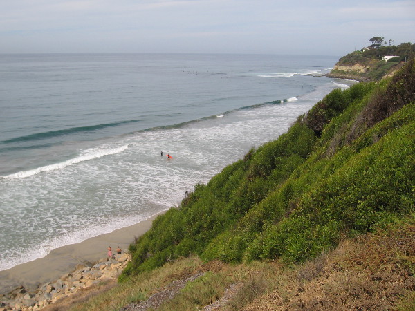 I turn for a moment to glance back north at Swami's.