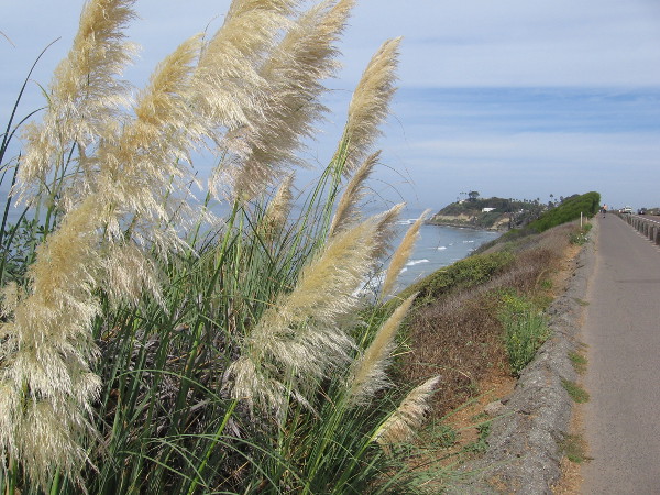 I couldn't help looking back north one more time.