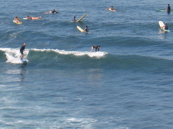 I saw hundreds of surfers out in the water during my walk. Looks like fun!