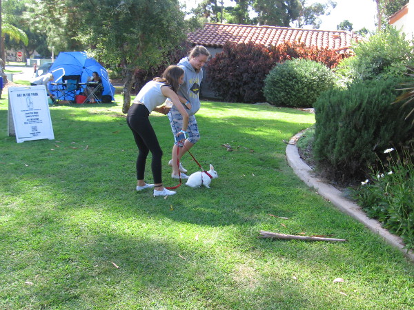 While a cute bunny might symbolize spring, Bunnyfest in Balboa Park is held during the autumn. I believe this is one of the participants.