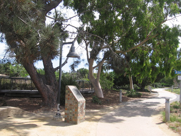 A monument with a plaque stands in a small grove of Torrey Pine trees.