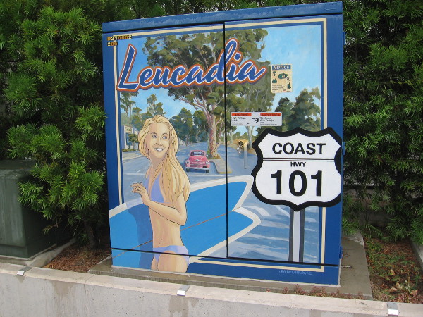 More cool Leucadia street art on an electrical box.