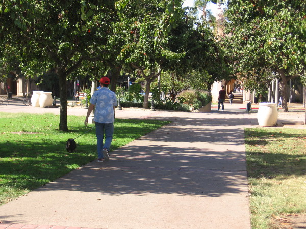 Walking through green Balboa Park one bright Sunday afternoon in early November.