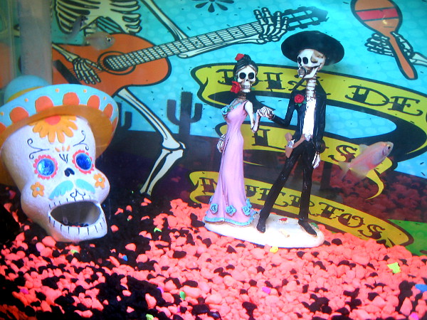 Día de Los Muertos scene inside an aquarium at the San Diego Tropical Fish Society show.