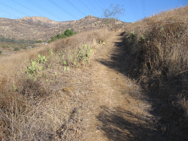 Heading up short but steep switchbacks, with rugged mountains in the distance.