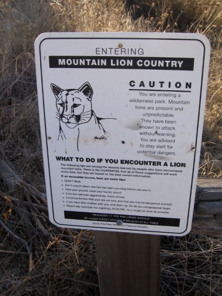 This is mountain lion country. A sign describes what to do should you encounter one.