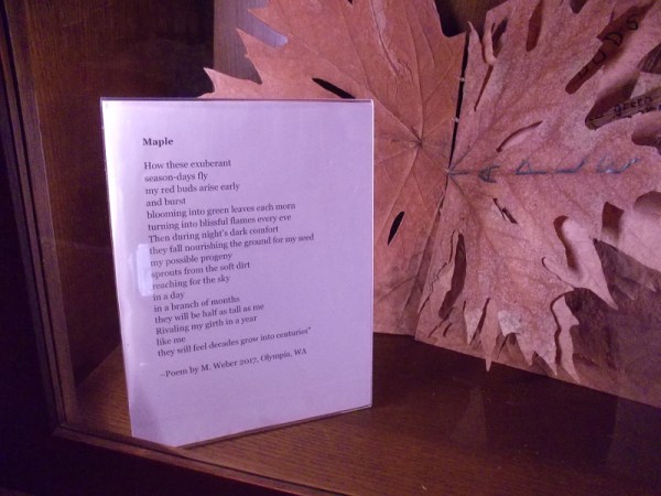 Maple, Marshall Weber, 2017. Signed by artist, one of a kind.