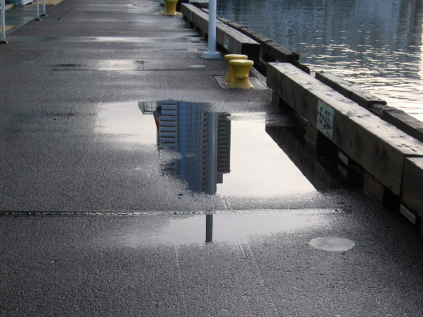 A reflection in a puddle of downtown high-rises.