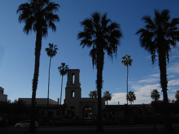 Across Harbor Drive is The Headquarters and palm trees.