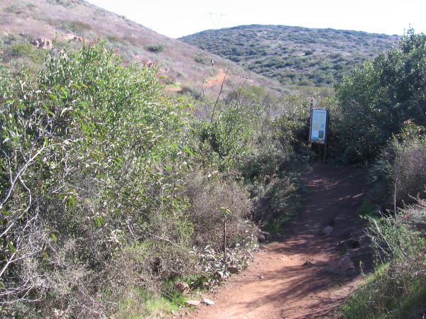 One of two information signs, on opposite sides of a small bridge spanning tiny creek.