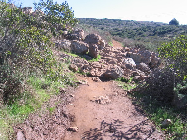 A section of very rocky trail.